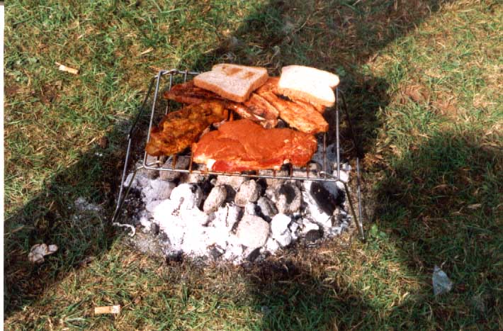 Untitled-23.jpg (81586 bytes)